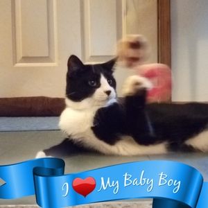 Meet your Posher, Ruby